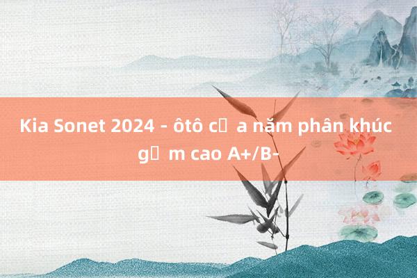 Kia Sonet 2024 - ôtô của năm phân khúc gầm cao A+/B-