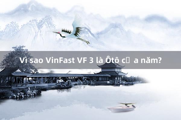 Vì sao VinFast VF 3 là Ôtô của năm?