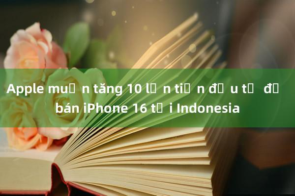 Apple muốn tăng 10 lần tiền đầu tư để bán iPhone 16 tại Indonesia