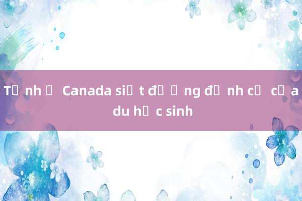 Tỉnh ở Canada siết đường định cư của du học sinh