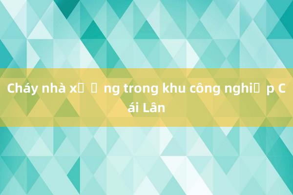 Cháy nhà xưởng trong khu công nghiệp Cái Lân