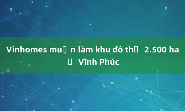 Vinhomes muốn làm khu đô thị 2.500 ha ở Vĩnh Phúc