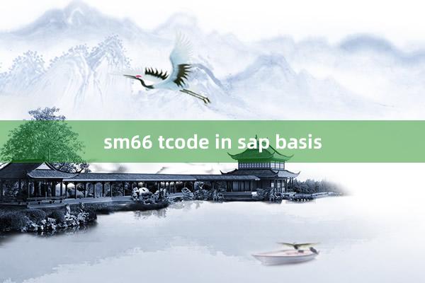 sm66 tcode in sap basis