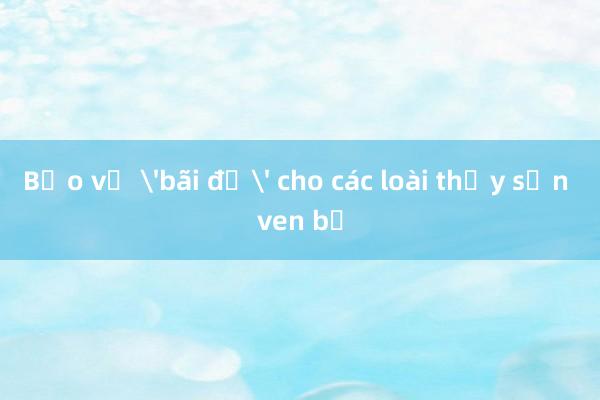 Bảo vệ 'bãi đẻ' cho các loài thủy sản ven bờ