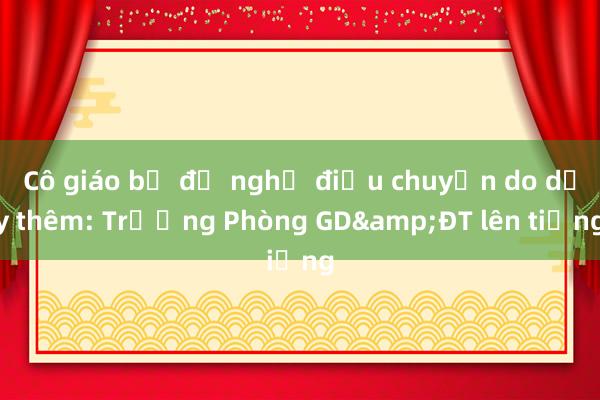 Cô giáo bị đề nghị điều chuyển do dạy thêm: Trưởng Phòng GD&ĐT lên tiếng