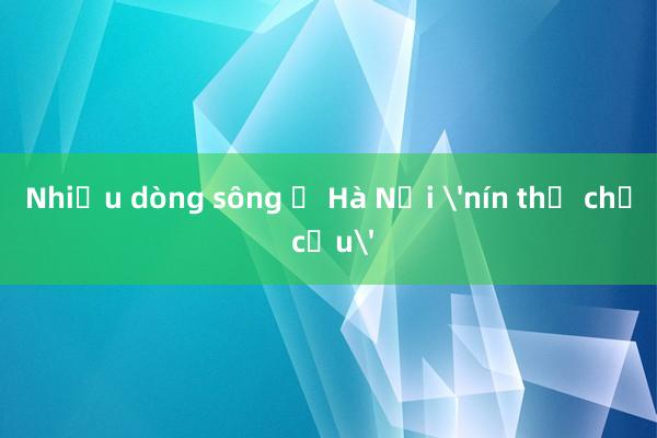 Nhiều dòng sông ở Hà Nội 'nín thở chờ cứu'