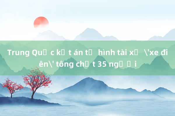 Trung Quốc kết án tử hình tài xế 'xe điên' tông chết 35 người